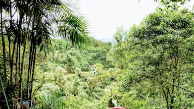 Did the full zip line tour here and it was the best zip lines I’d ever done. There are places where you can’t even see the other end of the line that you’re on as you glide at high speeds, hundreds of feet above the jungle.#Adventure