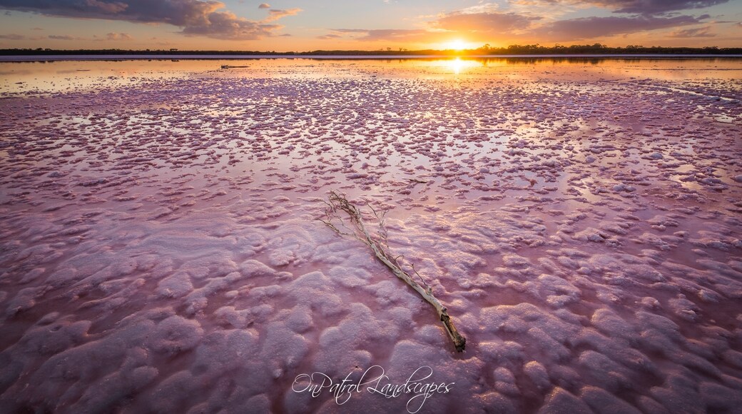 Photo by Simon Maddock