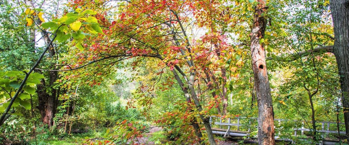 The Beaver Brook Historic Reservation is located near Waverley Square...Massachusetts A nice little day park for a quick hike