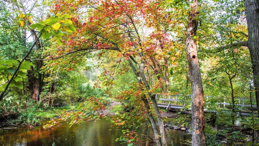 The Beaver Brook Historic Reservation is located near Waverley Square...Massachusetts A nice little day park for a quick hike