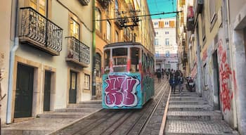 The Elevador da Bica, or Elevador da Bica, is a funicular located on Rua da Bica de Duarte Belo, in Bica, in Lisbon. It is owned by the Companhia de Carris de Ferro de Lisboa, and connects the Rua de São Pauloo Largo do Calhariz, facing one of the steepest slopes in the city. It was inaugurated on June 28, 1892.