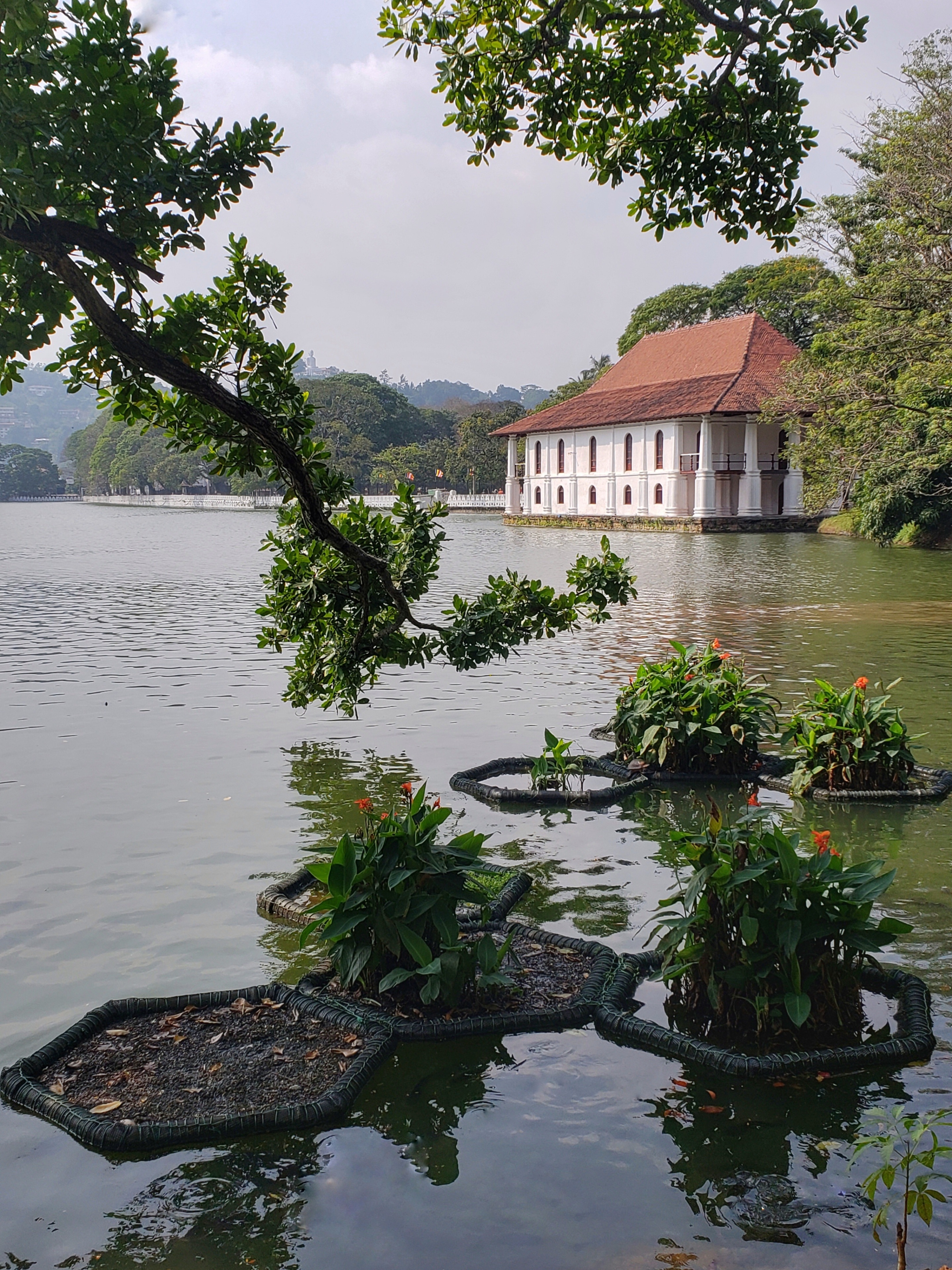 Two reasons to come to Kandy: 1, to walk around this lake, and 2, to visit the temple with the sacred tooth relic