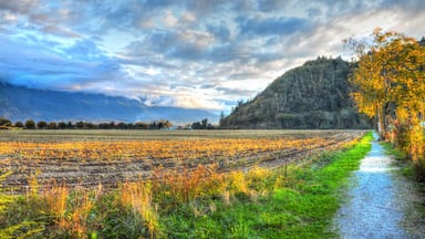 A little town situation between the city of Chilliwack BC and the town of Harrison Hot Spring. A walk to the part will treat you to views like this, and in the summer the corn field is transforms these scene, keeping it live and unique.
