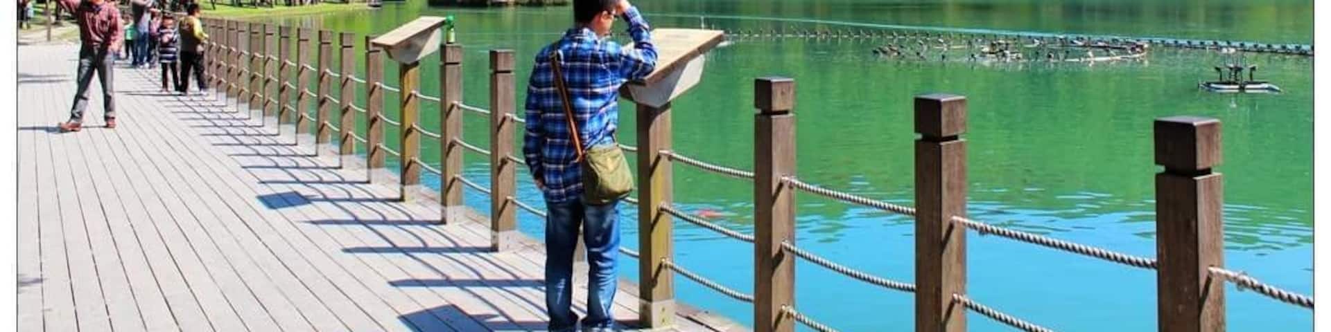#OrbitzTravel