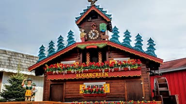 Who knew, I've spent my entire life in the same state as the World's Largest Cuckoo Clock and we had yet to cross paths?!

The clock graced the cover of the 1978 edition of the Guinness Book of World Records.

#Trovember