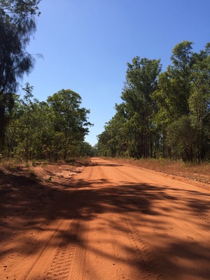 "Tracks"
The ochre sandy road into Couzens Outlook, Mary River #NationalPark - Top End #NorthernTerritory.
#roadtrip
#weekendgetaway
#IloveaSunburntCountry