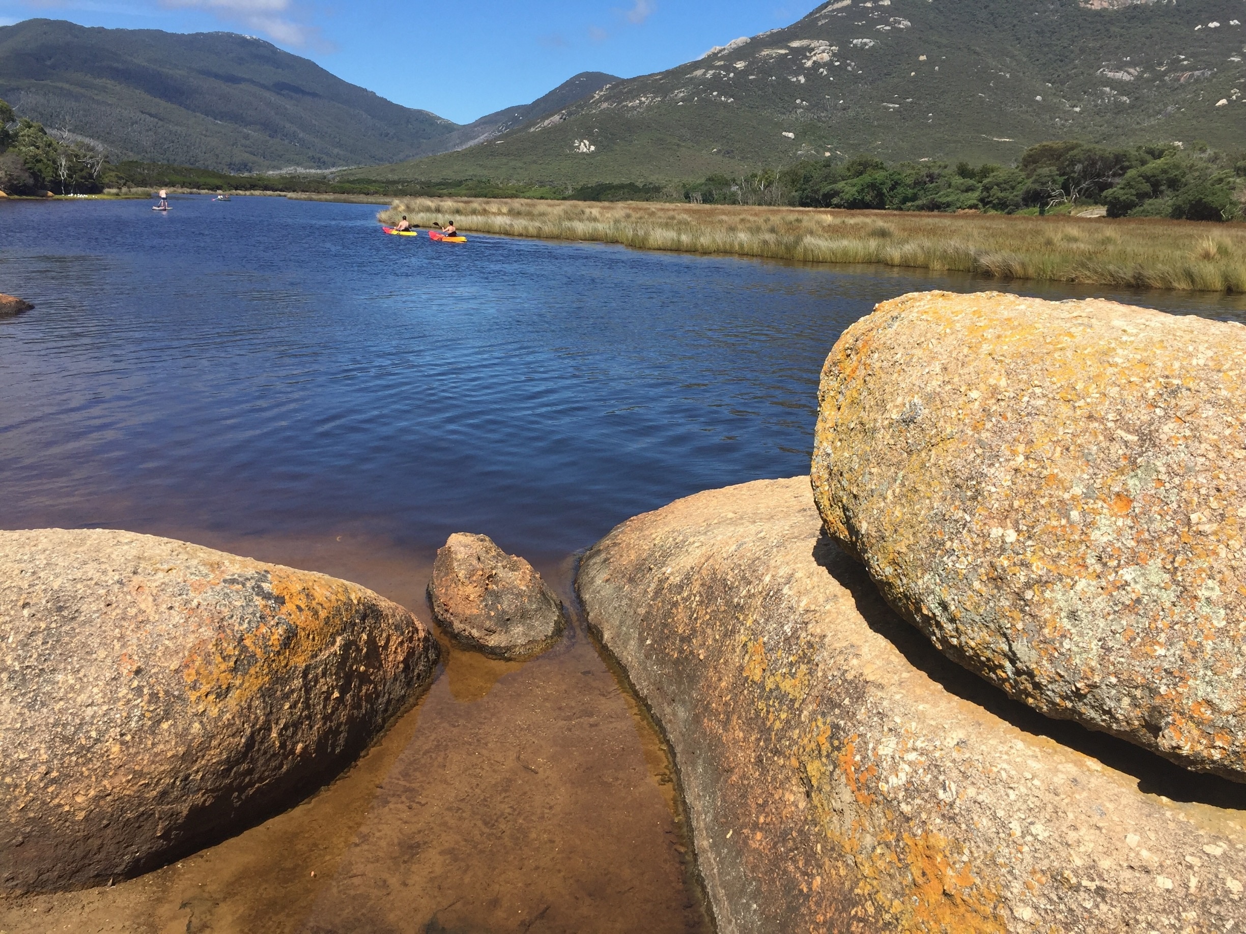 Wilsons promontory hotsell southern circuit