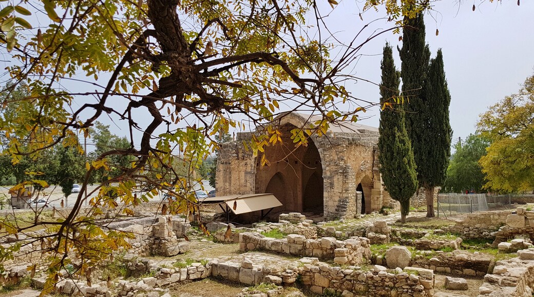 Κολόσσι, Περιοχές Κυρίαρχων Βάσεων Ακρωτηρίου και Δεκέλειας, Κύπρος