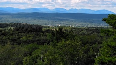 Beautiful spot to check out the Catskills from a distance, this is just one section of the view. You won't be disappointed and its easy access on and off from highway.