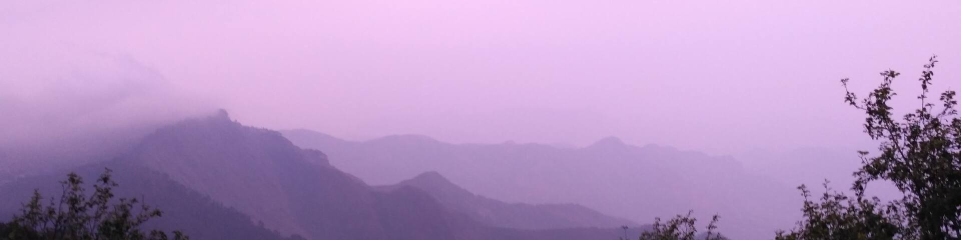 Beautiful views like these are the most perfect nature's refreshment for all those who need a break from their 9-5 routine life .
Place : Dolphin Nose , Kodaikanal