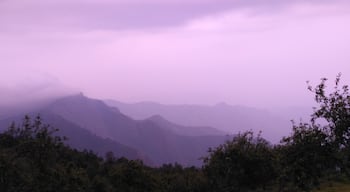 Beautiful views like these are the most perfect nature's refreshment for all those who need a break from their 9-5 routine life .

Place : Dolphin Nose , Kodaikanal