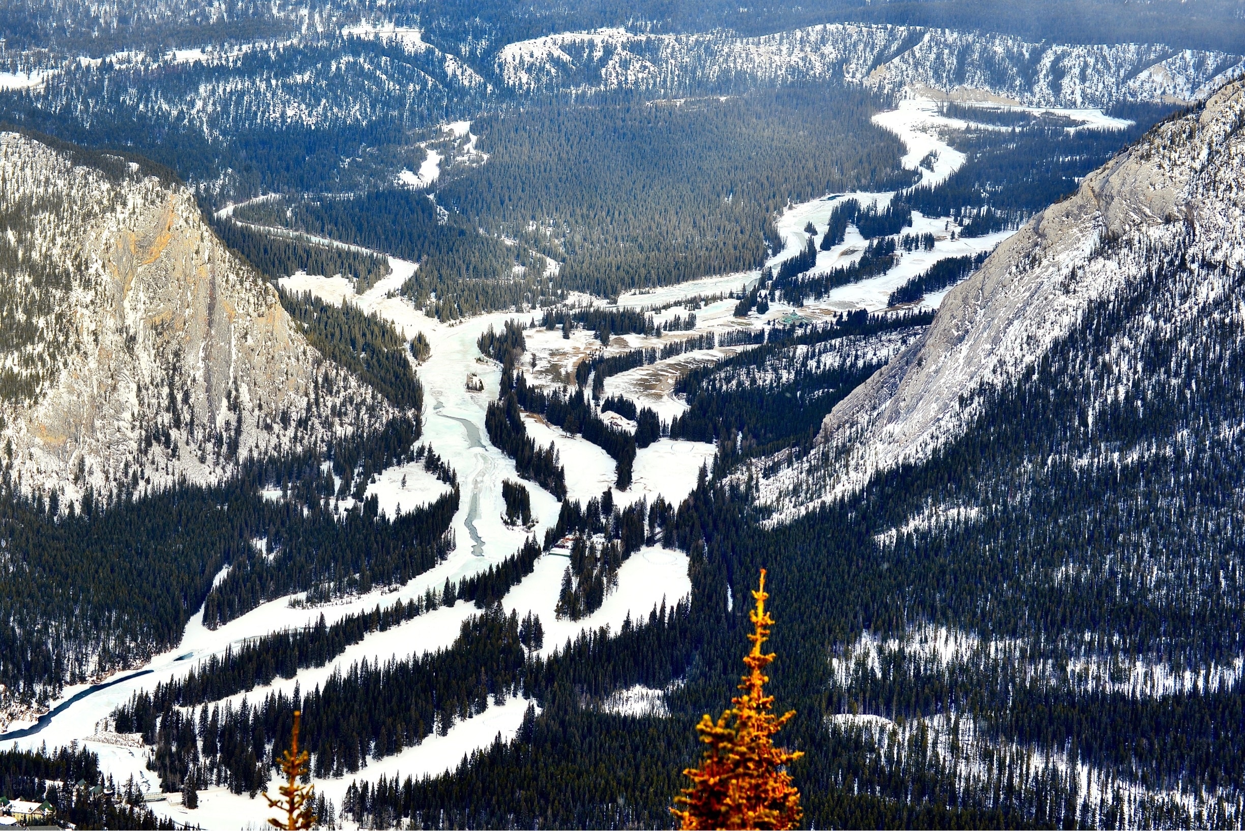 Sulphur Mountain In Sulphur Mountain District - Tours And Activities 