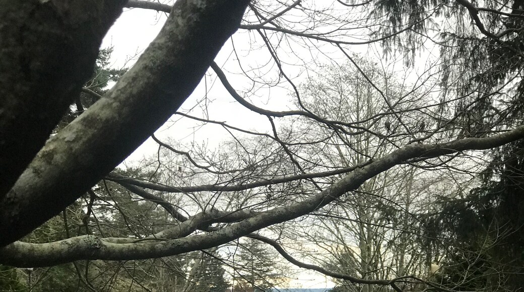 Foto oleh Alice In Wonderland