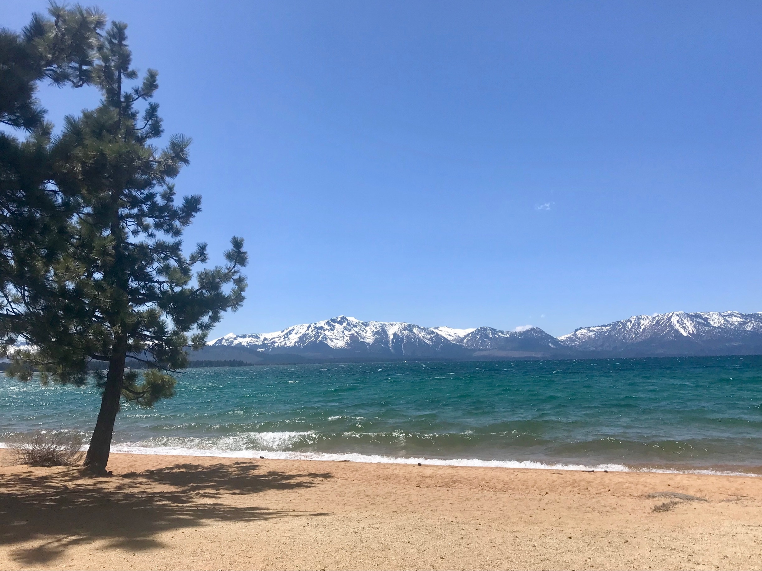It was a chilly day in South Lake Tahoe, but I had to stop to enjoy the beautiful turquoise and blues of the water and sky. 