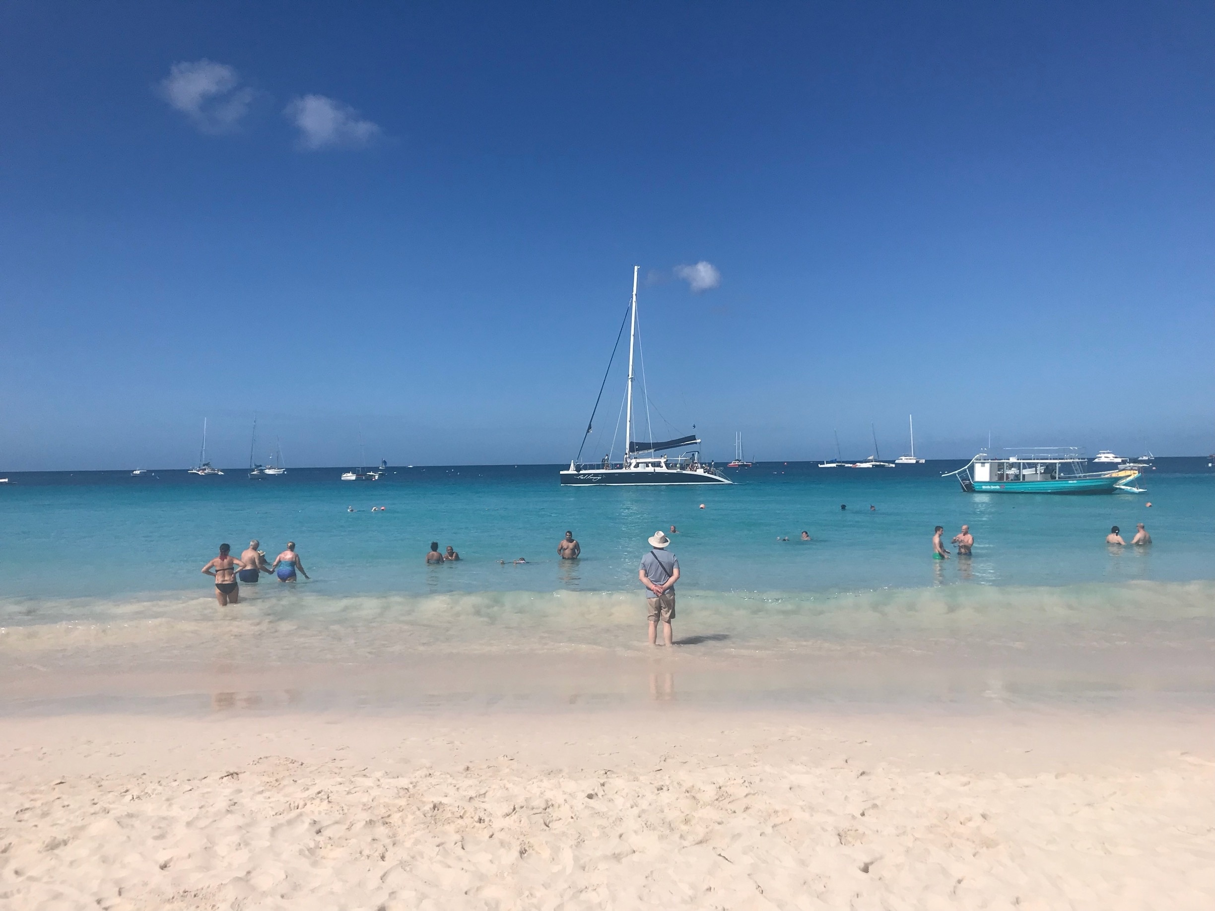 Bridgetown: Carlisle Bay Turtle and Shipwreck Boat Cruise