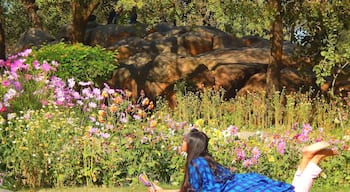 At the cactus garden!
Smell the flowers, kiss the green grasses, hug mother earth, chase the colorful butterflies coz spring has officially sprung! 😀
#SpringFun