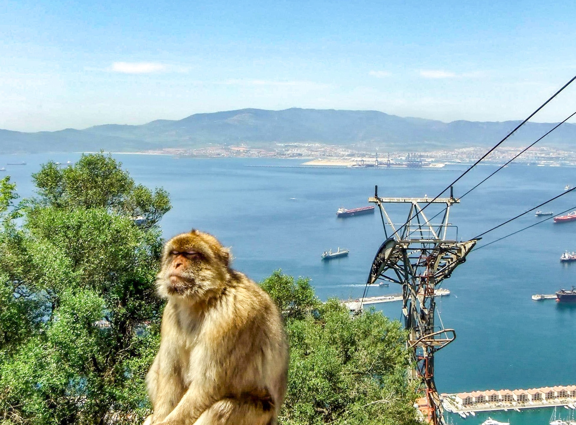 upper-rock-nature-reserve-gibraltar-holiday-accommodation-from-au-114