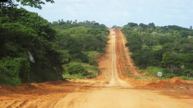 Dirt road on the way to Inhambane #roadtrip