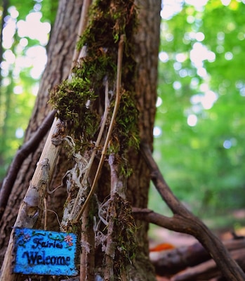 Little fairy dwellings are strewn throughout the South Mountain Fairy Trail (watch out for all the mosquitos though! Brutal!)