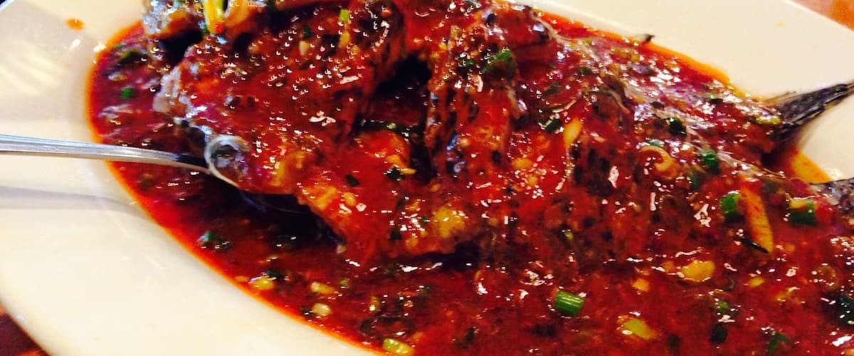 Great Sichuan food in the suburbs. Order from the last two pages of the menu and bring friends to share with!