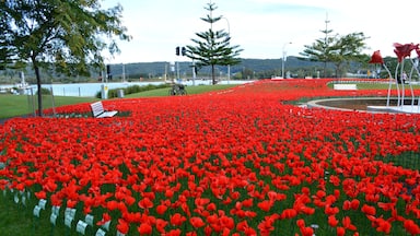 The Waterfront in Gosford is turning red in a sea of poppy's to commemorate our ANZAC's. 
Each poppy is handmade,unique and individual like our soldiers. 
On 25 April 2015, Australians and New Zealanders unite as on this day 100 years ago, our troops landed on the shores of Gallipoli in WW1. This was the turning point of our Nation who is now known to be a strong and independent nation in the worlds eye.  
Lest we forget.
