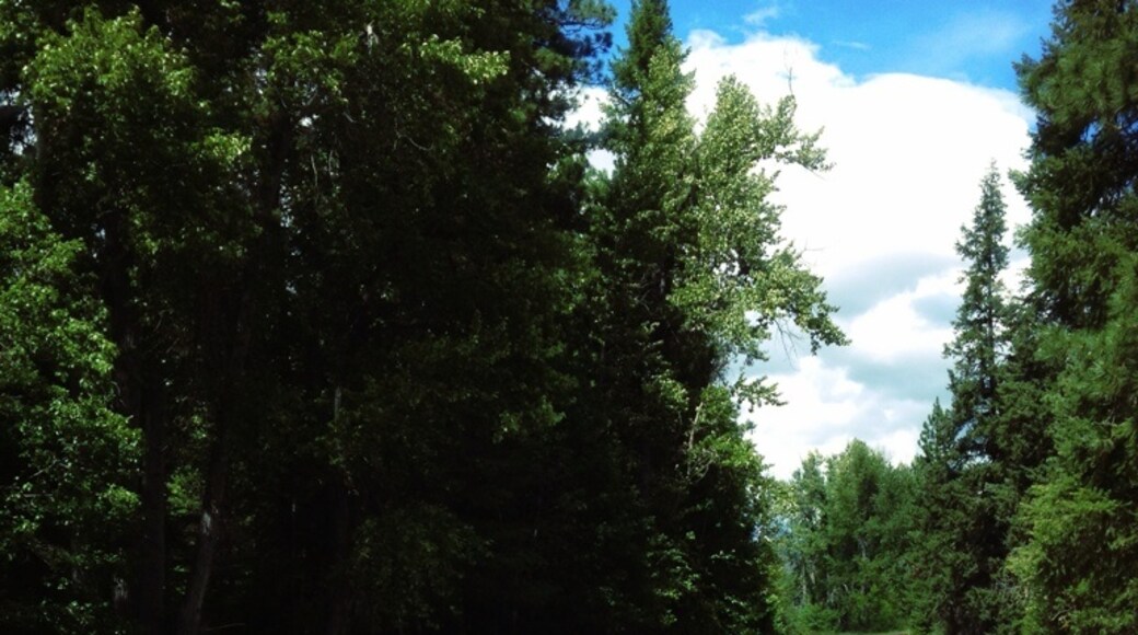 Foto von Jason Karas