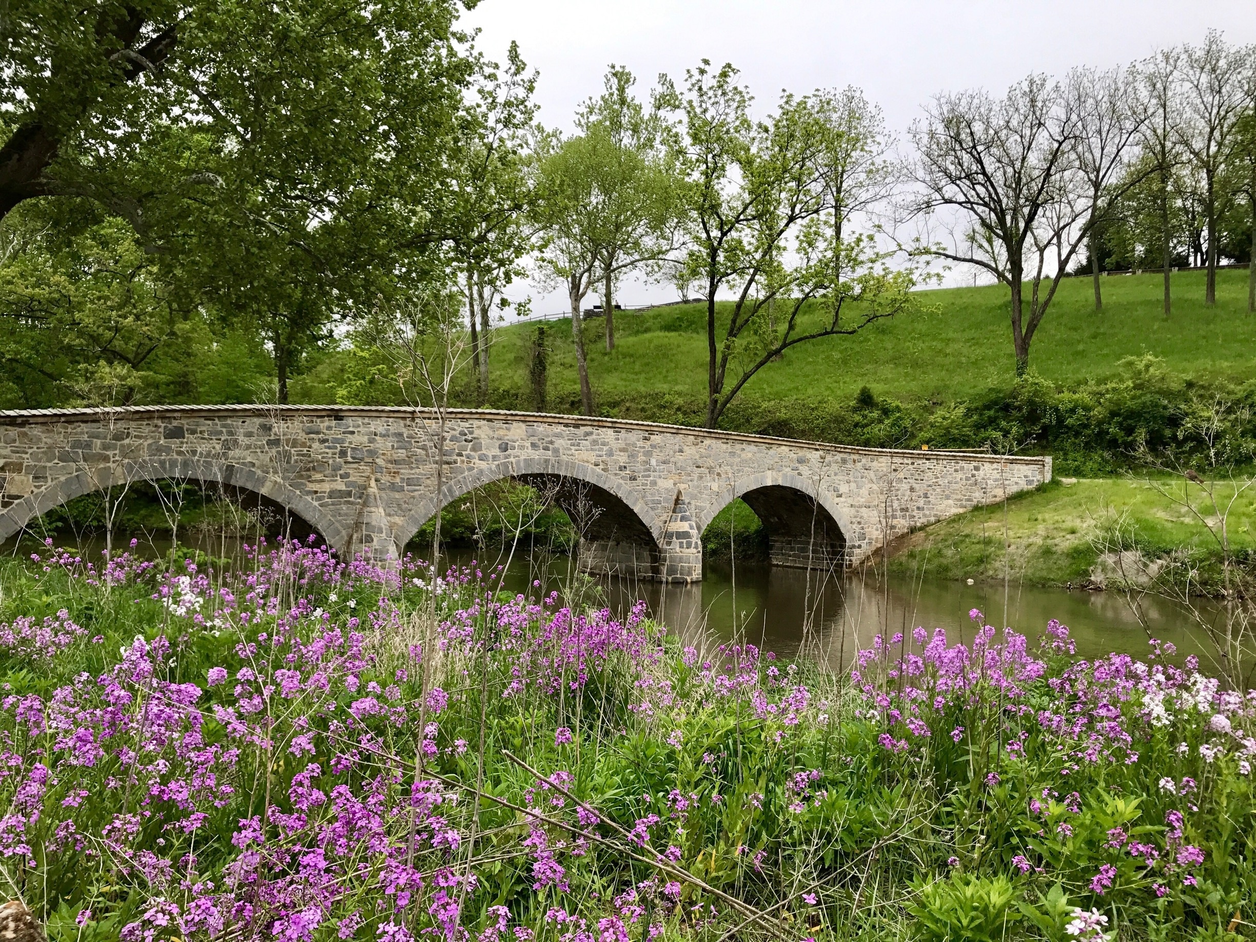 Photo by Willow Rock