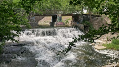 Papermill Falls with a graffiti bridge.