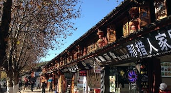Old Town of Lijiang, The town has a history going back more than 1,000 years and was once a confluence for trade along the "Old Tea Horse Caravan Trail". The Dayan Old town is famous for its orderly system of waterways and bridges, a system fast becoming. #OldTownofLijiang #China