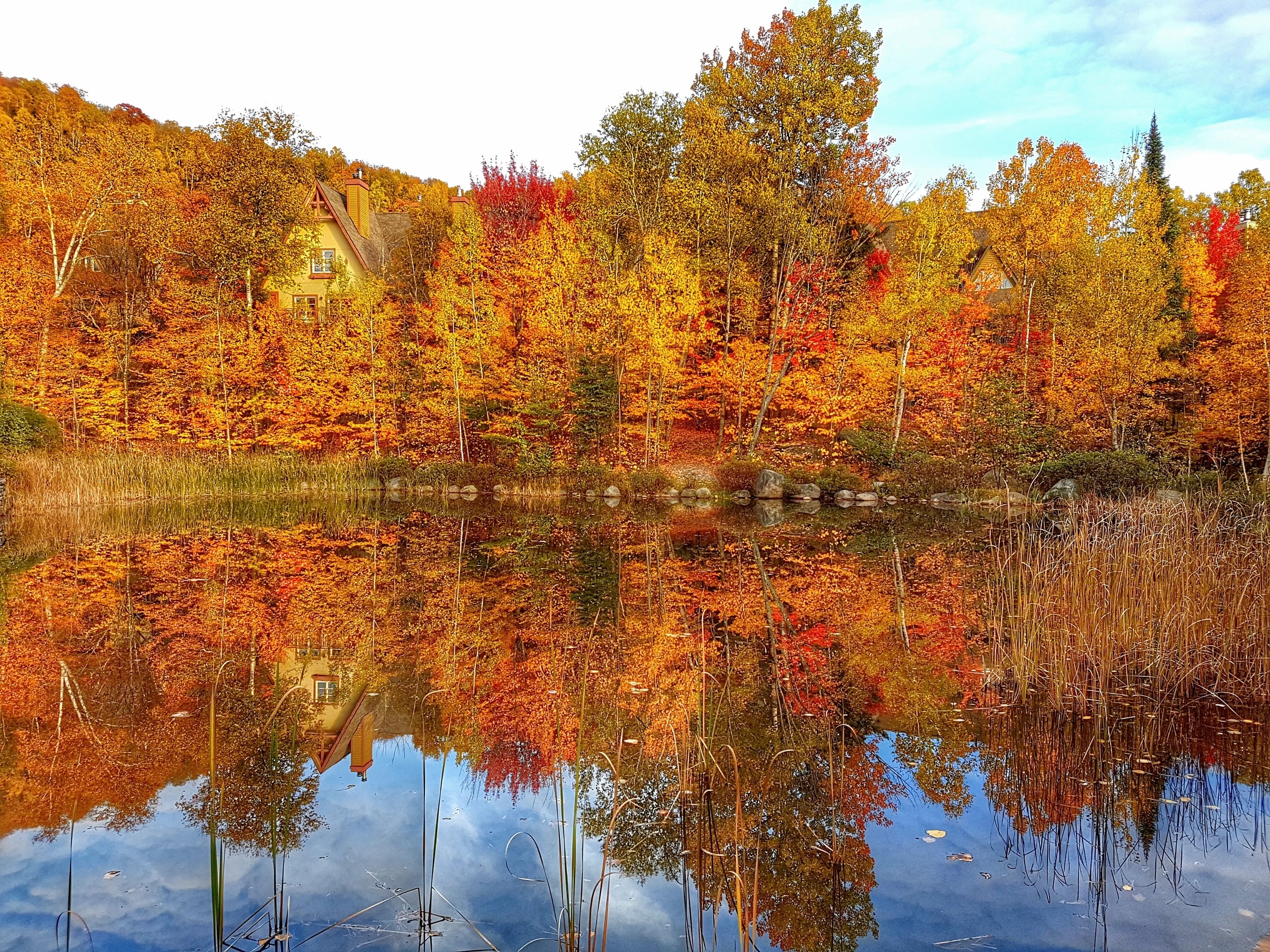 Domaine de la Foret, MontTremblant Vacation Rentals house rentals