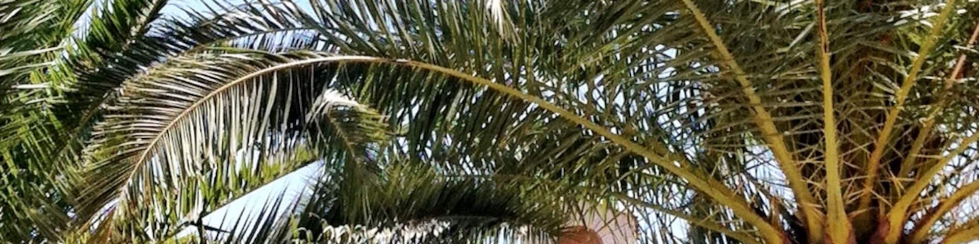 The Church of the Multiplication of Tabgha. Near the Galilea Sea.