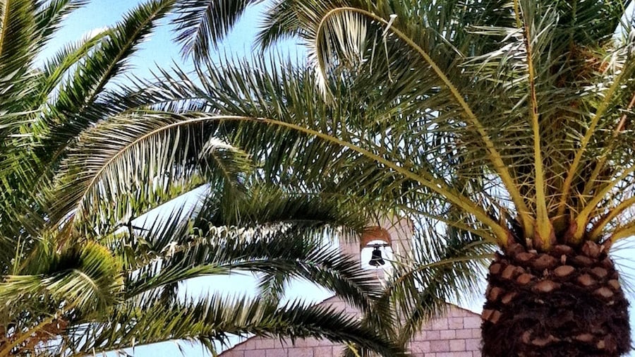 Tabgha (lugar de la multiplicación de los panes y los peces)