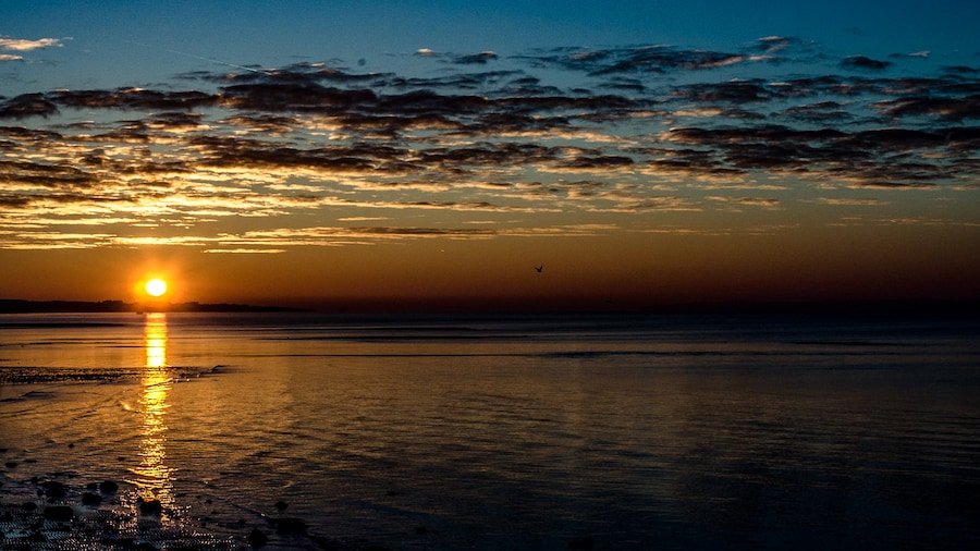 Meon Shore Beach