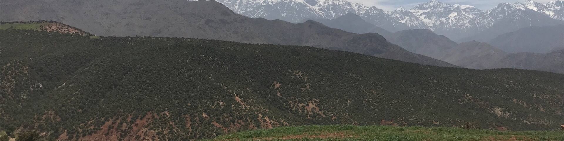 Lunch with this view was amazing an hour from Marrakech in a beautiful village with the locals !!