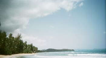 Disposable picture of the Caribbean Sea from Haiti. 