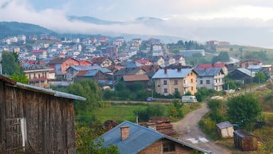 Sarnitsa city is located deep in the Rhodope mountains among remote virgin forests, the town has preserved its authentic atmosphere.

#city #Bulgaria #Rhodope