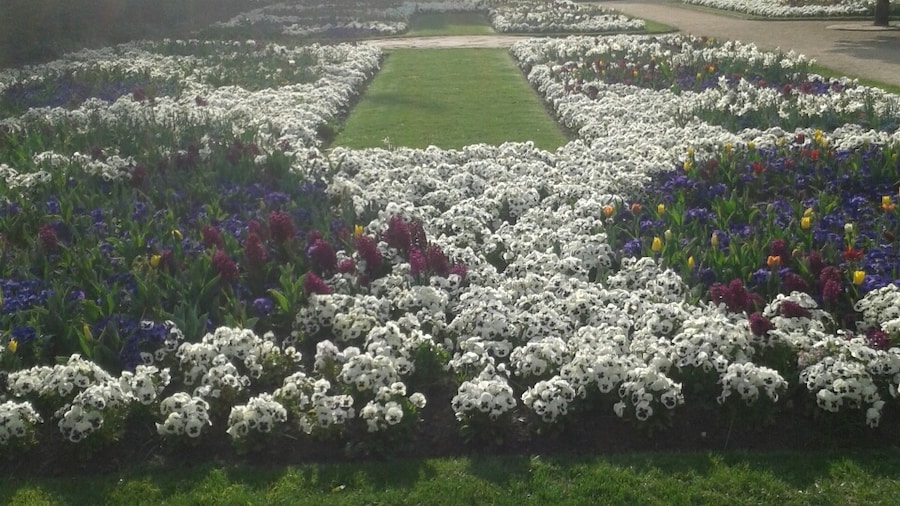 Jardín botánico de Guetersloh