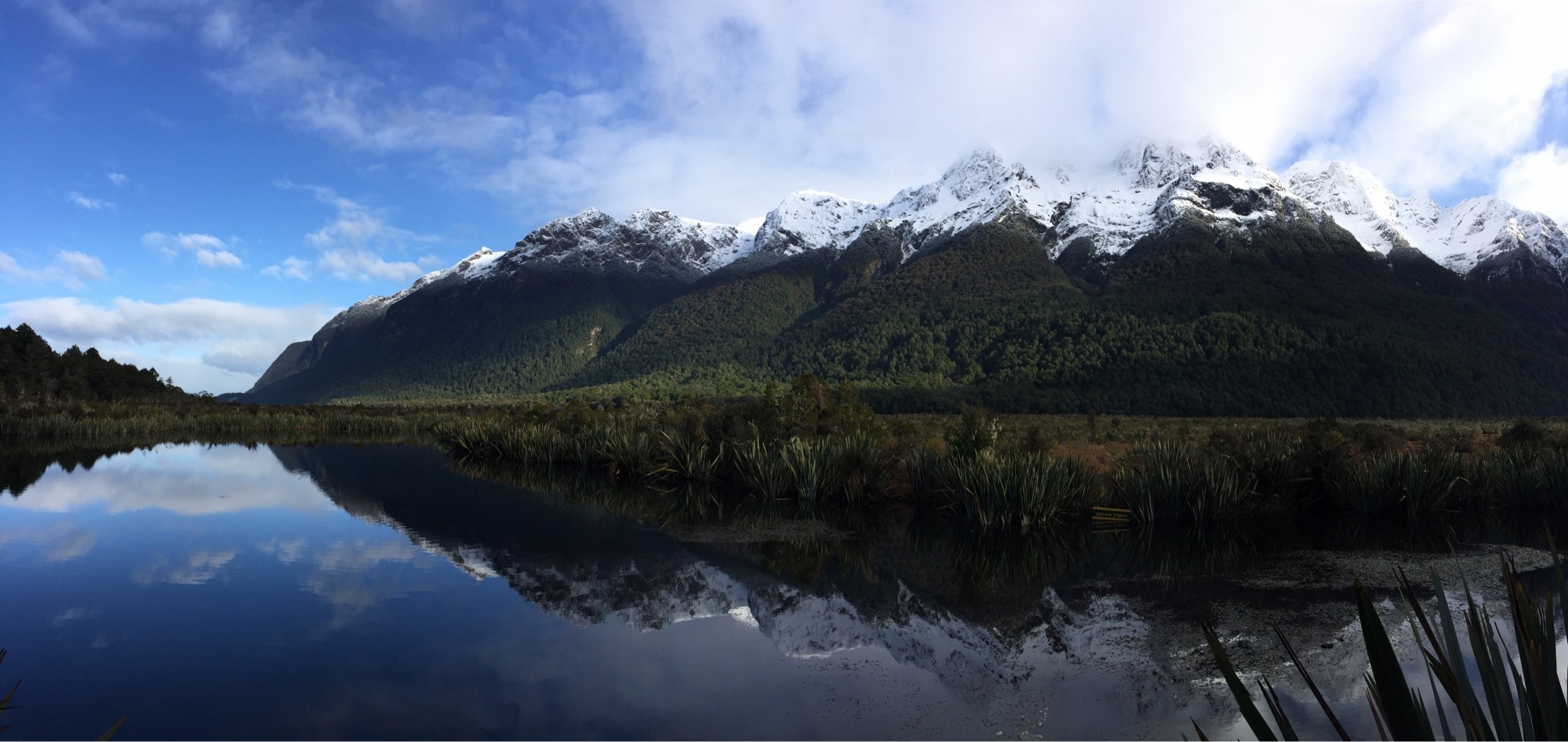 The road to Milford Sound is amazing. 