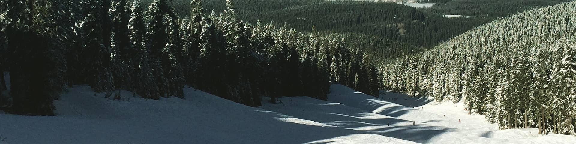 Beautiful day for a beginner! Feeling it today. 💙 snowboarding.