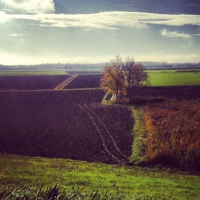 #campagna #mantova #countryside #italy