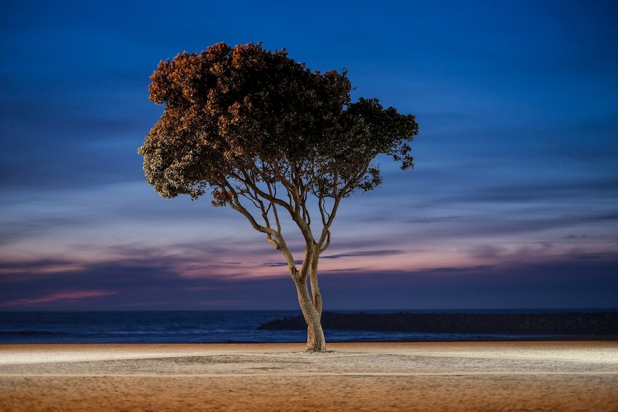 O Calçadão de Espinho é espetacular para uma caminhada ao pôr do sol
