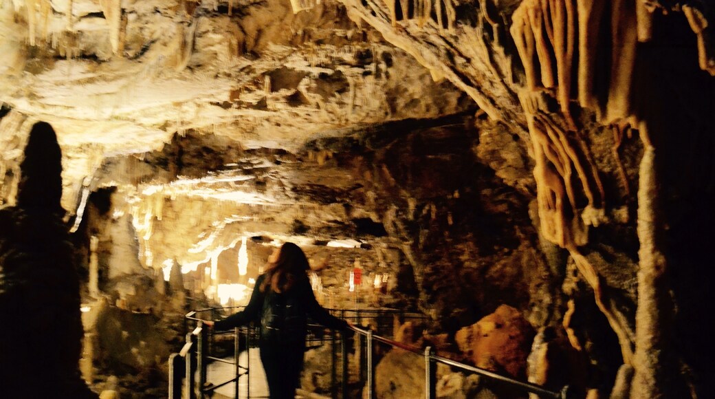Höhlen von Postojna, Postojna, Slowenien