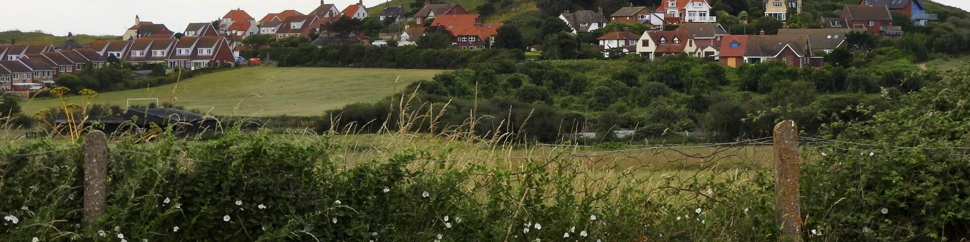 Homes in Sheringham, England, taken from afar. (June 2017)
#Trovember