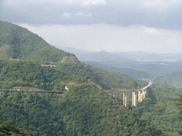 Brazilian Atlantic Forest. Litoral de São Paulo. Immigrants Road.

#TroveOnTuesday