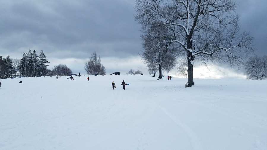 Larz Anderson Park