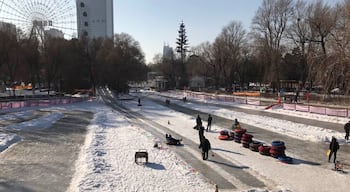 Tubing in Children’s park