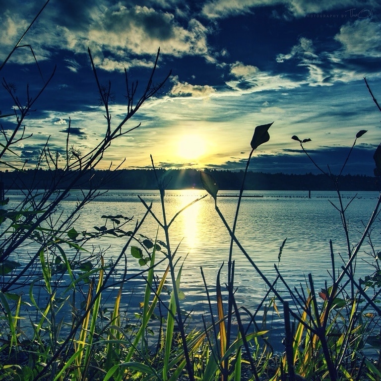 Top 20 Renton, WA cottage rentals from 60/night Vrbo