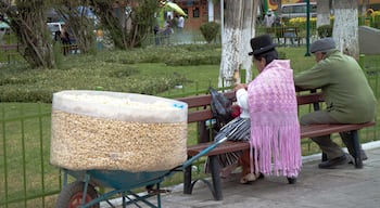 Bolivian popcorn located vendor in Plaza San Pedro.   This was located right outside "San Pedro" prison which became famous due to the book "Marching Powder".  Significantly different from most correctional facilities, inmates at San Pedro have jobs inside the community, buy or rent their accommodation, and often live with their families. The sale of cocaine base to visiting tourists gives those inside a significant income and an unusual amount of freedom within the prison walls. Elected leaders enforce the laws of the community, commonly through stabbing. The prison is home to approximately 1,500 inmates