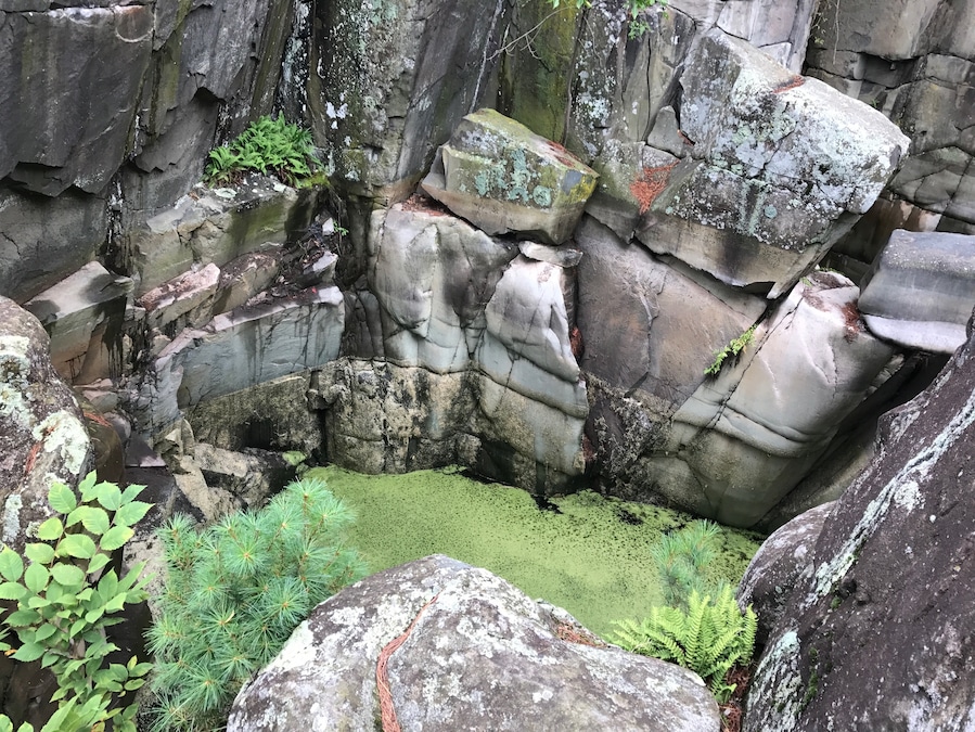 Really cool pot holes that formed in Taylor Falls International State Park!
