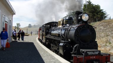 Book a ticket on a vintage steam train with Weka Pass Railways and travel through the Canterbury Plains in style.